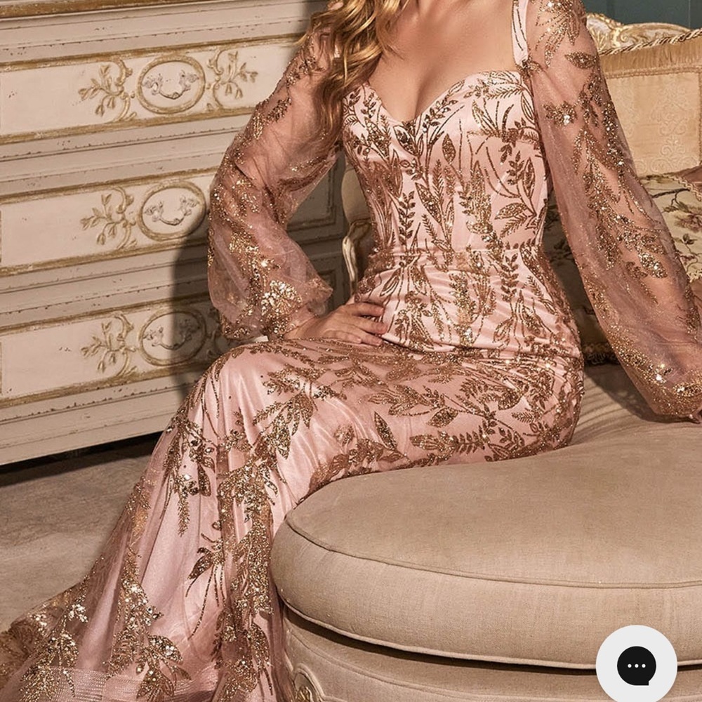 Cinderella Divine Dress